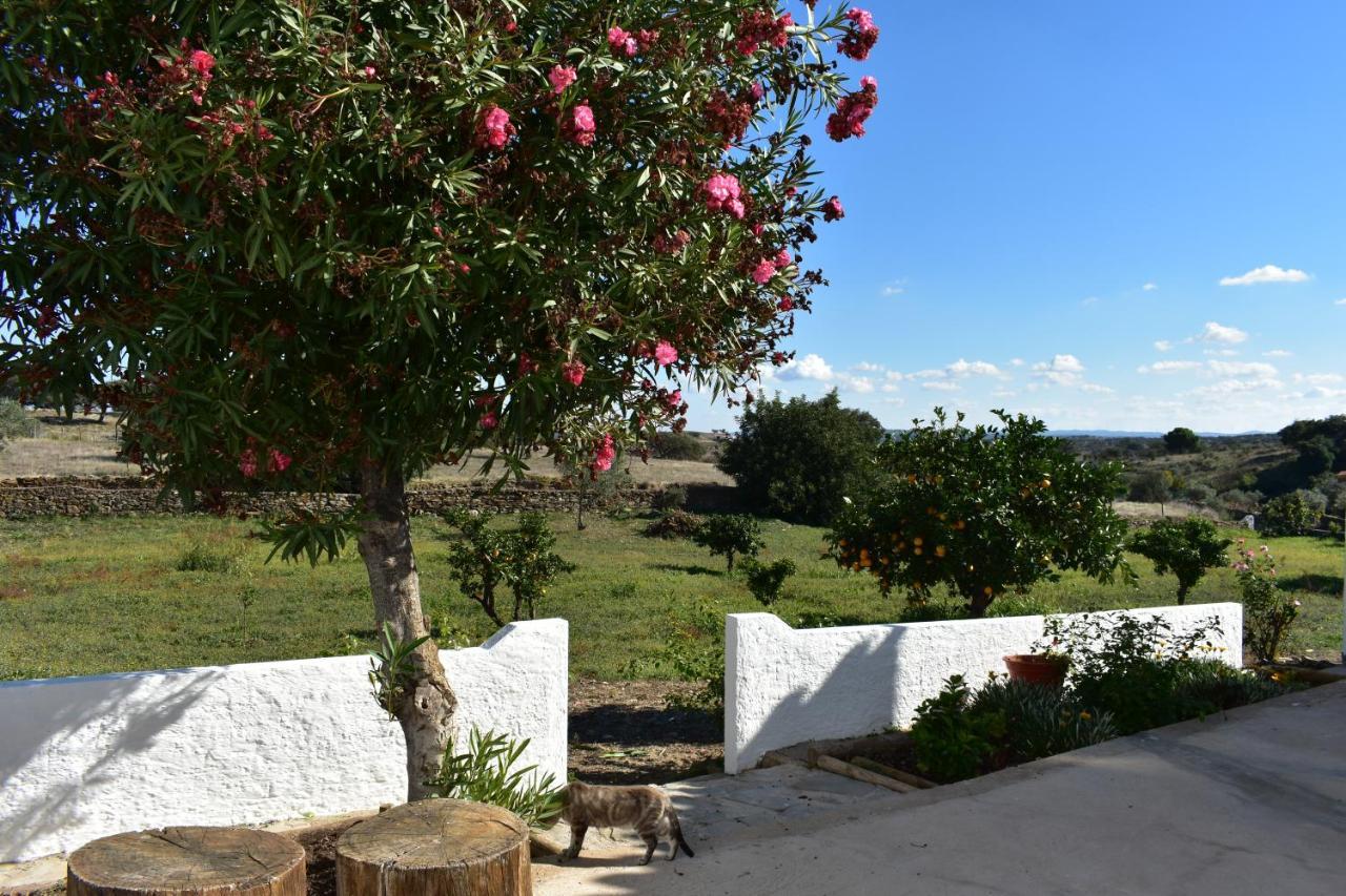 Appartamento Casa da Cerca Corte do Pinto Esterno foto